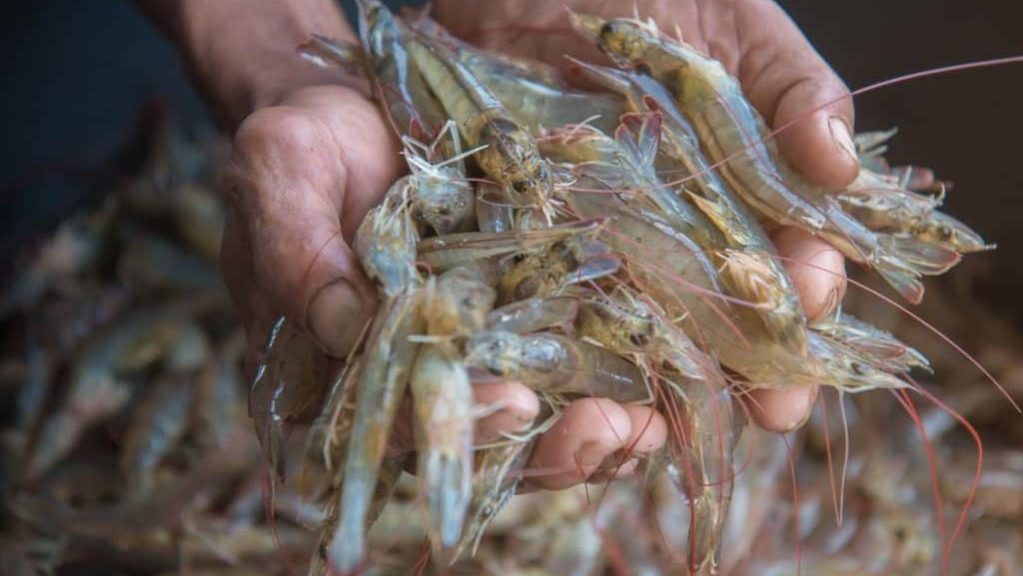 Uma imagem impressionante