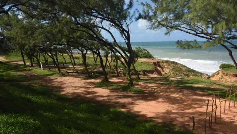 Uma imagem impressionante